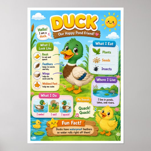 Leuke weetjes over eenden voor kinderen poster (Voorkant)
