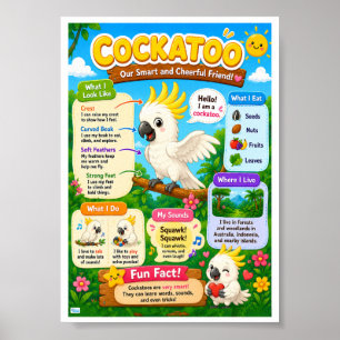 Leuke weetjes over kaketoes voor kinderen poster