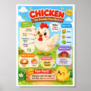 Leuke weetjes over kippen voor kinderen poster