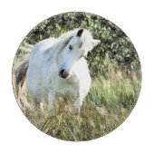 LEUKE WELSH MOUNTAIN PONY SNIJPLANK (Voorkant)