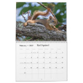 Leuke wilde dieren voor kinderen #4 kalender (Feb 2027)