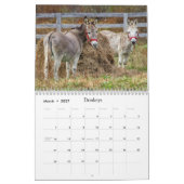 Leuke wilde dieren voor kinderen #4 kalender (Mar 2027)