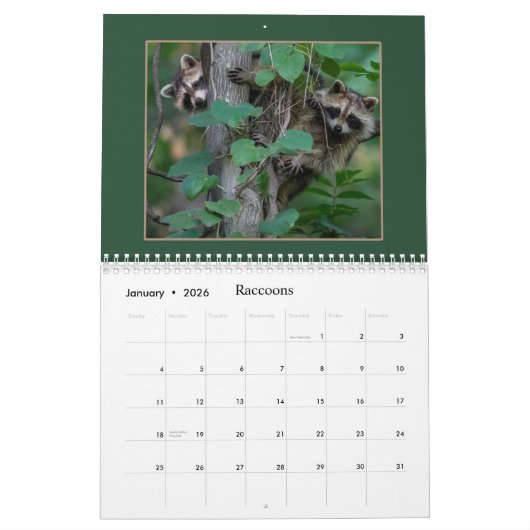 Leuke wilde dieren voor kinderen #4 kalender (Jan 2026)