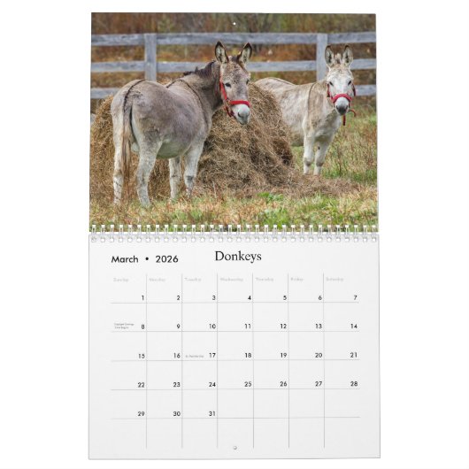 Leuke wilde dieren voor kinderen #4 kalender (Mar 2026)