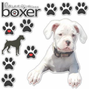 Leuke witte bokser hondenauto Stickers