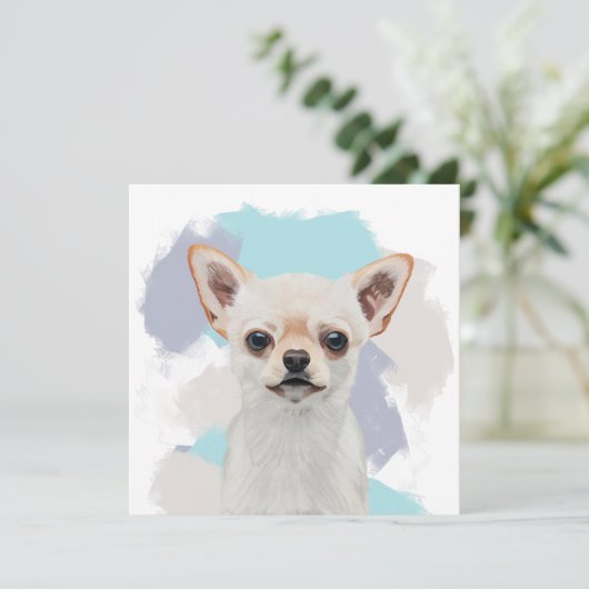 Leuke witte chihuahua hond Abstracte blauwe achter (Staand voorkant)