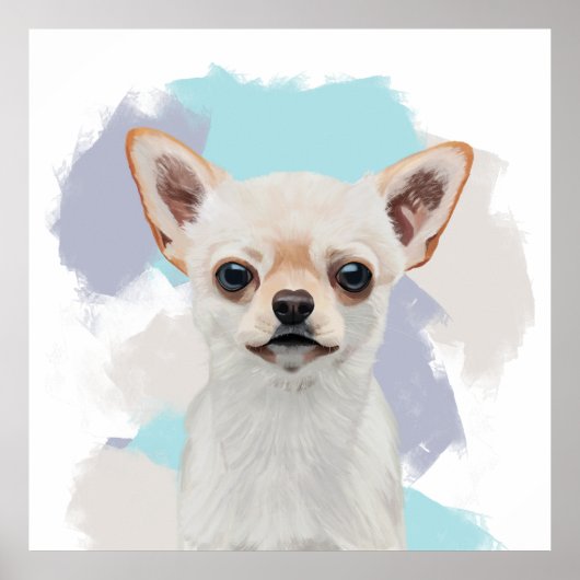 Leuke witte chihuahua hond Abstracte blauwe achter Poster (Voorkant)