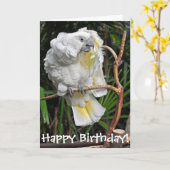 Leuke witte cockatielverjaardag kaart (Gele Bloem)