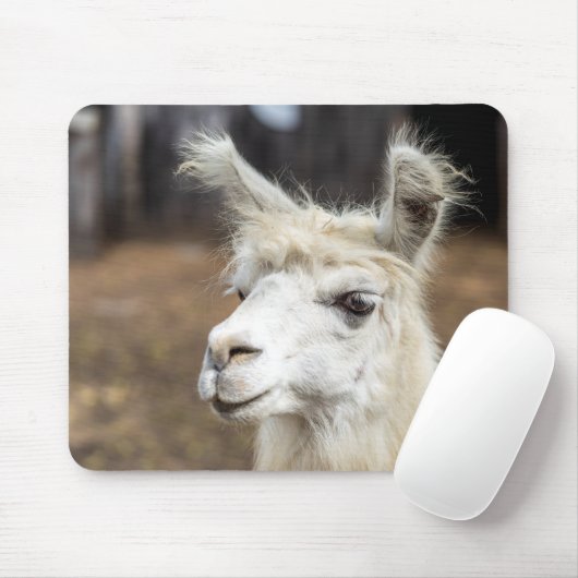 Leuke witte lama Muismat (Met muis)