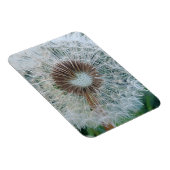 Leuke witte paardenbloem magneet (Rechterzijde)