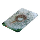 Leuke witte paardenbloem magneet (Linkerzijde)