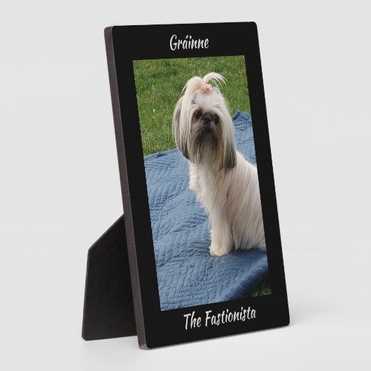 Leuke witte Yorkshire Terrier Fotoplaat (Zijkant)