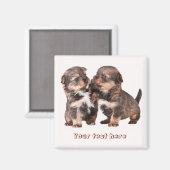 Leuke Yorkshire Puppies Magneet (Voorkant / Achterkant)