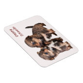 Leuke Yorkshire Puppies Magneet (Rechterzijde)