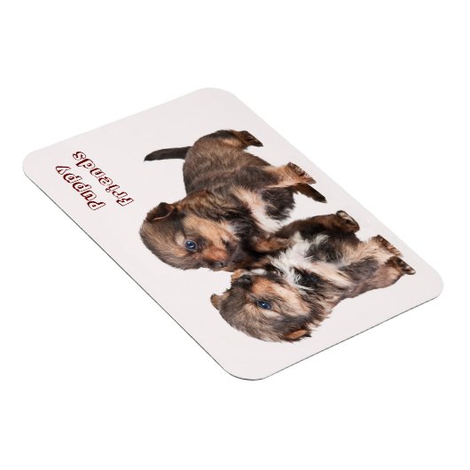 Leuke Yorkshire Puppies Magneet (Rechterzijde)