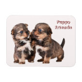 Leuke Yorkshire Puppies Magneet (Horizontaal)