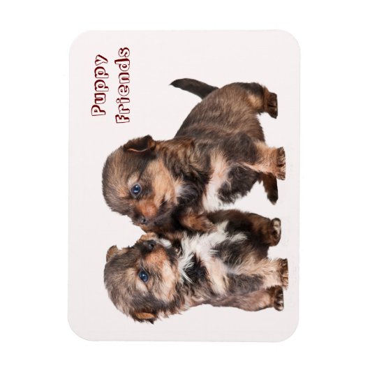 Leuke Yorkshire Puppies Magneet (Verticaal)