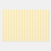 Leuke Zomer Watermeloen Drinken en ijsjes Inpakpapier Vel (Voorkant 2)