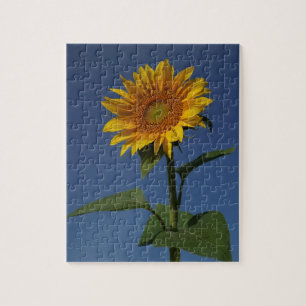 Leuke zonnebloem natuur legpuzzel