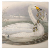 Leuke  zwanen Decor Keramische tegel Tegeltje (Voorkant)