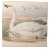Leuke  zwanen decor tegeltje (Voorkant)