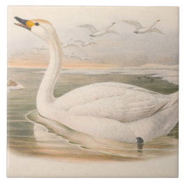Leuke  zwanen decor tegeltje