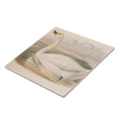 Leuke  zwanen decor tegeltje (Zijkant)