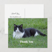 Leuke zwart-wit tuxedo kat foto bedankt briefkaart (Voorkant / Achterkant)