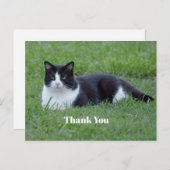 Leuke zwart-wit tuxedo kat foto dank je briefkaart (Voorkant / Achterkant)
