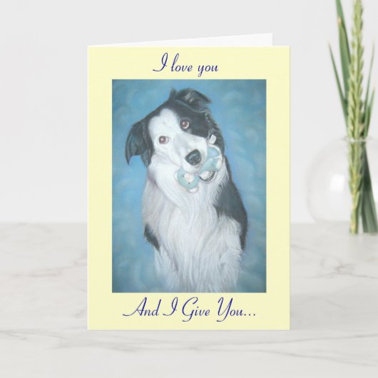 Leuke zwart-witte border collie hond kaart (Voorkant)