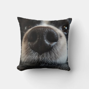 Leuke zwart-witte rand collie neus close-up kussen