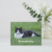 Leuke zwart-witte tuxedo kat foto verjaardag briefkaart (Staand voorkant)