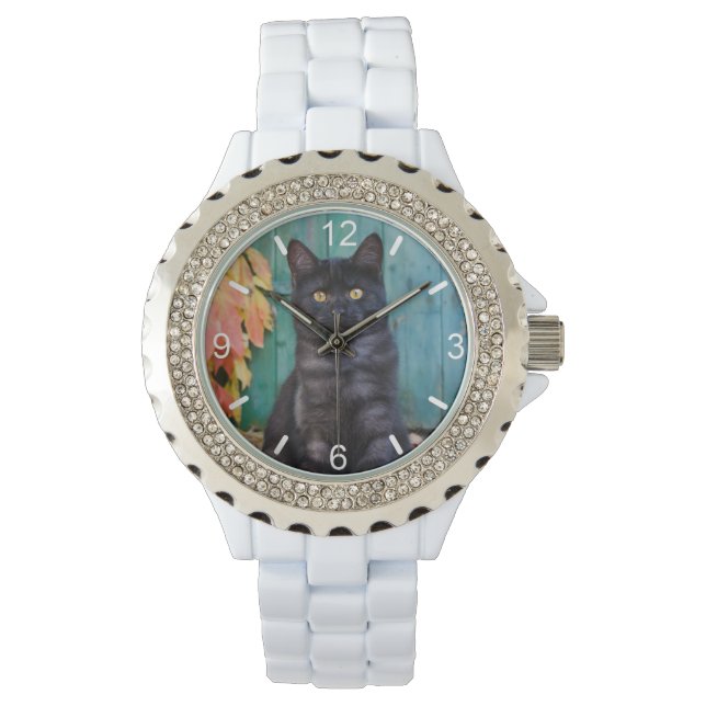 Leuke zwarte kat kitten blauw deurfoto - dial-bord horloge (Voorkant)