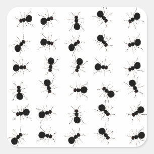 Leuke zwarte mier bug print vierkante sticker