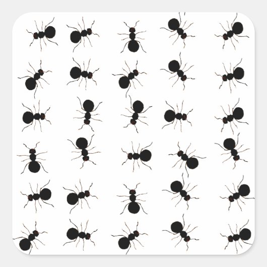 Leuke zwarte mier bug print vierkante sticker (Voorkant)