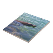 Leuke Zwemende Dolfijn Tegeltje (Zijkant)