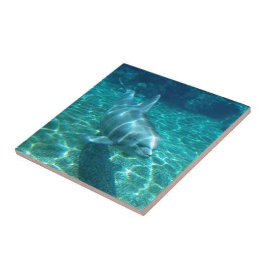 Leuke Zwemende Dolfijn Tegeltje (Zijkant)