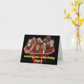 Leuker dan een vat apen Verjaardag Kaart (Gele Bloem)