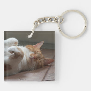 Leukste katten slapen Sleutelhanger