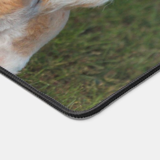 Leukste shih tzu bureaumat (Hoek)