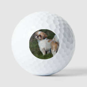 Leukste shih tzu golfballen