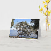 "Leunende levende eiken" notakaarten Kaart (Gele Bloem)