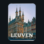 Leuven Belgique Photo Vintage Magneet<br><div class="desc">Leuven (in het Nederlands Leuven,  in het Duits Löwen) is een Nederlandstalige stad van België in het Vlaamse Gewest,  hoofd van de provincie Vlaams-Brabant en hoofd van het district dat zijn naam draagt. Ze wordt besproeid door de Dyle,  die de Rupel binnenstroomt.</div>