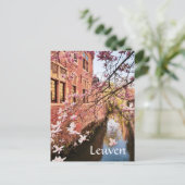 Leuven Belgium reisfoto   Postcard Briefkaart (Staand voorkant)