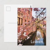 Leuven Belgium reisfoto   Postcard Briefkaart (Voorkant / Achterkant)
