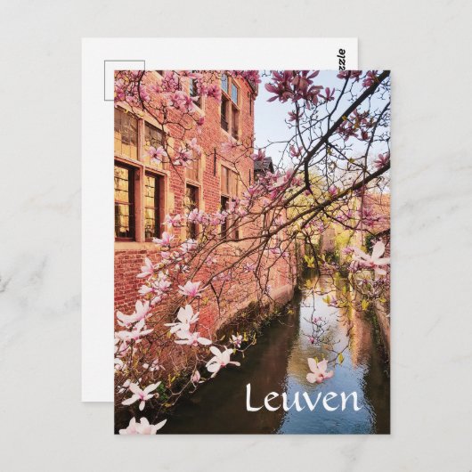 Leuven Belgium reisfoto   Postcard Briefkaart (Voorkant / Achterkant)