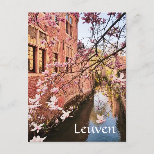 Leuven Belgium reisfoto   Postcard Briefkaart (Voorkant)