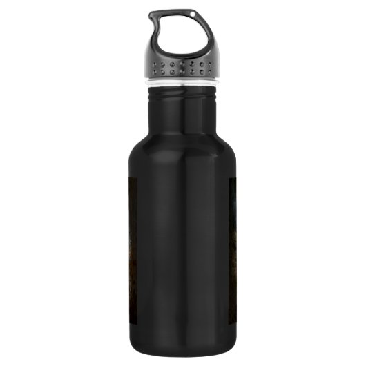  LEUZERN - WATERFLES  (Achterkant)