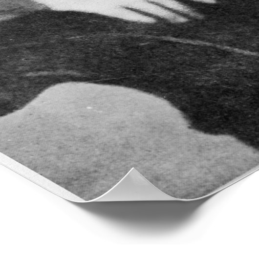 Lev Nikolaevich Tolstoy als student Poster (Hoek)