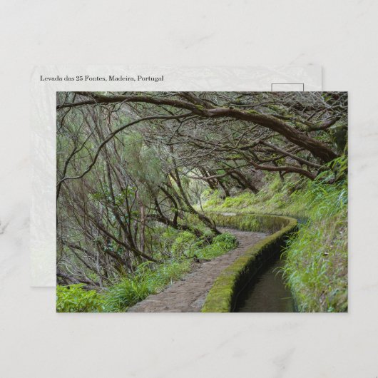 Levada das 25 Fontes Madeira Postcard Briefkaart (Voorkant / Achterkant)